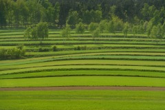 Einzigartige Streifenlandschaft bei Weitra