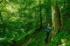 Wertvolle Forschungswälder 