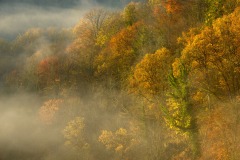 Magischer Herbstmorgen im Kampwald
