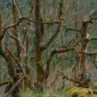 Waldviertel, Niederösterreich - Naturparadies Mittleres Kamptal