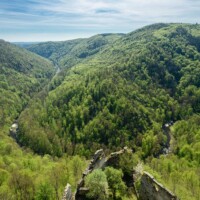 Waldviertel / Niederösterreich - Das Mittlere und Untere Kamptal, das Kremstal und der Bereich des Truppenübungsplatzes Allensteig beherbergen eine große Zahl ökologisch hochwertiger und national bedeutende Flächen wie urwaldartige Naturwälder, Trockenrasen, Auen und Fliessgewässer.
