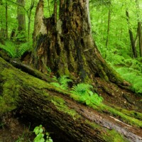 Waldviertel, Niederösterreich - Naturparadies Mittleres Kamptal
