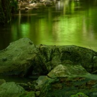 Waldviertel / Niederösterreich - Das Mittlere und Untere Kamptal, das Kremstal und der Bereich des Truppenübungsplatzes Allensteig beherbergen eine große Zahl ökologisch hochwertiger und national bedeutende Flächen wie urwaldartige Naturwälder, Trockenrasen, Auen und Fliessgewässer.