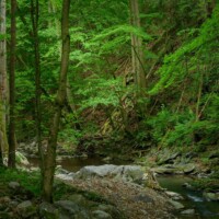 Waldviertel, Niederösterreich - Naturparadies Mittleres Kamptal