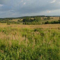 Waldviertel / Niederösterreich - Große Artenvielfalt am Truppenübungsplatz Allentsteig. Naturerlebnis Waldviertel. #waldnaturviertel