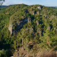 Unerwartete Waldwildnis im Kremstal mit teils uralten Eichen, Buchen und Linden.