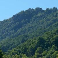 Waldviertel / Niederösterreich - Das Mittlere und Untere Kamptal, das Kremstal und der Bereich des Truppenübungsplatzes Allensteig beherbergen eine große Zahl ökologisch hochwertiger und national bedeutende Flächen wie urwaldartige Naturwälder, Trockenrasen, Auen und Fliessgewässer.