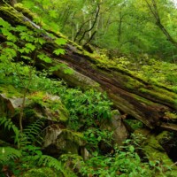Waldviertel, Niederösterreich - Naturparadies Mittleres Kamptal