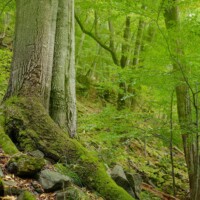 Waldviertel, Niederösterreich - Naturparadies Mittleres Kamptal