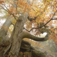 Waldviertel, Niederösterreich - Naturparadies Mittleres Kamptal