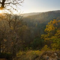 Waldviertel / Niederösterreich - Das Mittlere und Untere Kamptal, das Kremstal und der Bereich des Truppenübungsplatzes Allensteig beherbergen eine große Zahl ökologisch hochwertiger und national bedeutende Flächen wie urwaldartige Naturwälder, Trockenrasen, Auen und Fliessgewässer.