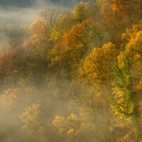 Altenburg / Niederösterreich: Herbstlicher Naturwald im Kamptal / Stiftswald Altenburg.