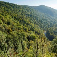 Waldviertel / Niederösterreich: Kamptalwildnis im Mittleren Kamptal
