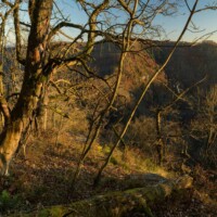 Kamptalwildnis, Schauenstein, Niederösterreich