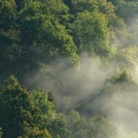 Waldviertel / Niederösterreich: Kamptalwildnis im Mittleren Kamptal
